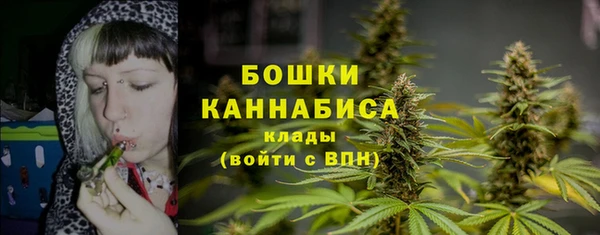 a pvp Кулебаки