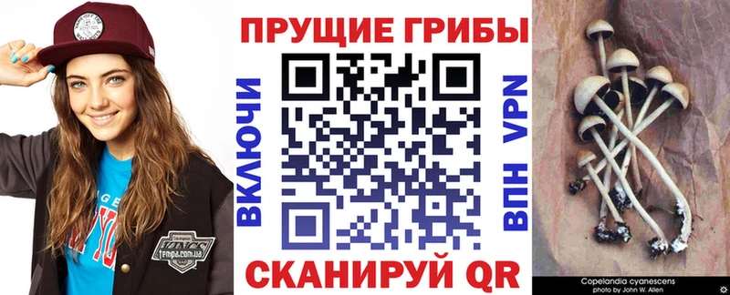 Галлюциногенные грибы мухоморы где найти наркотики Ростов-на-Дону